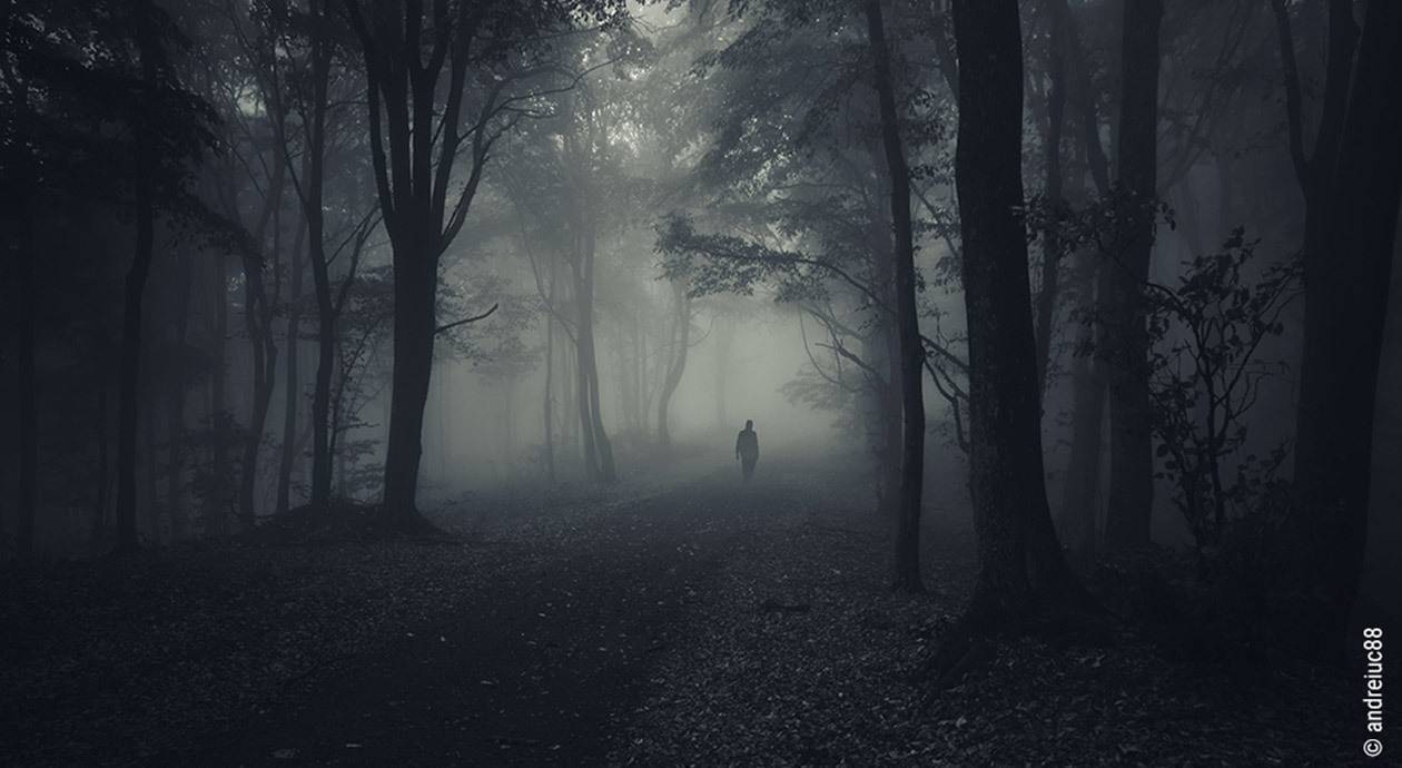 Foto: Ein düsterer Wald im Nebel, im Hintergrund steht ein Mensch als Schatten auf einer dunstig erleuchteten Lichtung.