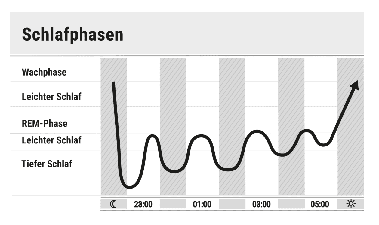 Illustration: Schematische Darstellung der Schlafphasen. Der Graph beginnt am Abend in der Wachphase sinkt über die Leichtschlafphase, REM-Phase bis in den Tiefschlaf. In Wellen steigt der Graph über die Nacht bis hin zum Morgen wieder auf das Anfangsniveau.