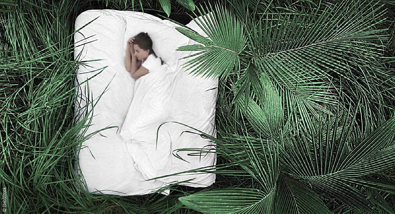 Foto: Ein grüner Dschungel in Vogelperspektive. Darin liegt eine Matratze weiß bezogene Matratze. Darauf schläft eine Person in Seitenlage eingewickelt in eine weiß bezogene Decke.