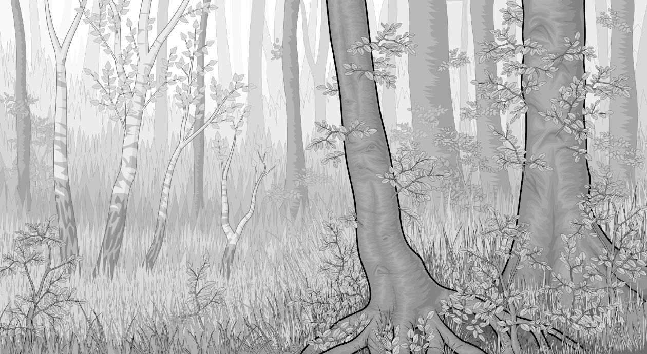 Illustration: Ein dichter Wald mit Birken, Buchen und Gräsern. Zwei Buchen stehen im Vordergrund.
