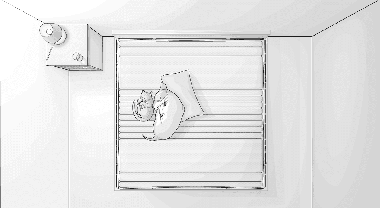 Illustration: Ein Schlafzimmer in Vogelperspektive: Ein Hund liegt zusammengerollt auf einem Topper 200x200