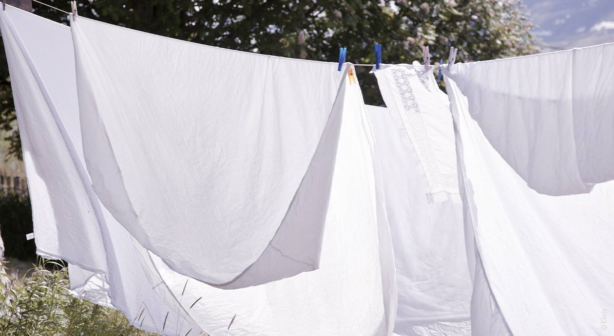 Foto: Klassische weiße Bettlaken hängen draußen an einer Wäscheleine zum trocknen..