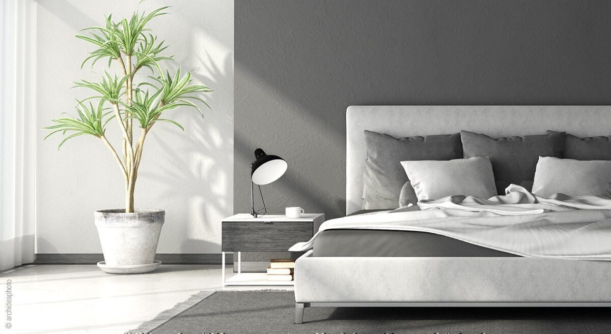 Foto: Ein Schlafzimmer, das in weiß-grauen Tönen gehalten ist. Recht steht ein Bett, links daneben ein Nachttisch mit einer Lampe drauf. Im Zimmer steht eine Pflanze.