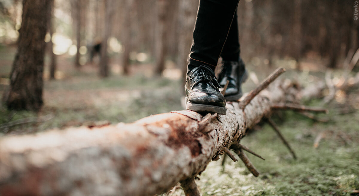 Foto: Füße in schwarzen stabilen Schuhen balancieren auf einem umgefallenen Kiefernstamm im Wald.