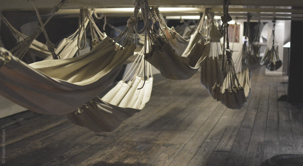Mehrere Hängematten hängen dicht nebeneinander in einem flachen Raum mit Holzboden.