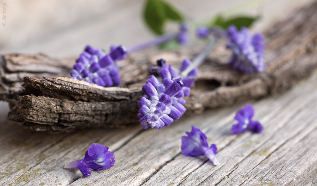 Foto: Lavendel liegt dekorativ auf einem Holztisch.