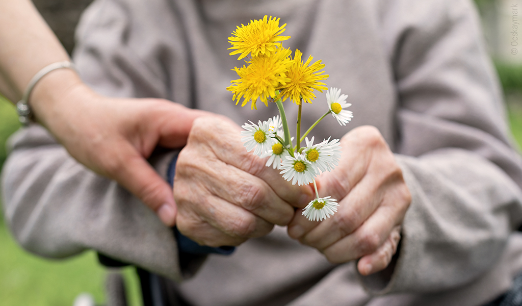 Foto: Zwei ältere Hände umfassen  einen Blumenstrauß aus Gänseblümchen und Butterblumen. Eine jüngere Hand liegt auf dem Arm der älteren Person.