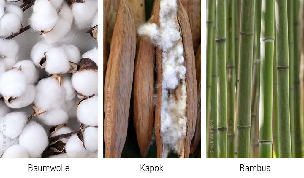 Dreigeteiltes Foto (v. l. n. r.): Baumwollblüten, Kapokfrüchte, Bambusrohre, darunter die Bezeichnungen der Stoffe: Baumwolle, Kapok und Bambus.