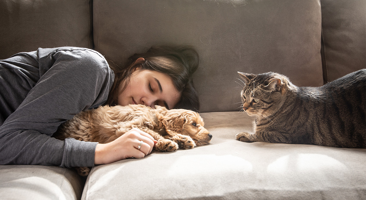Titelbild Tagesmüdigkeit: Eine Person liegt mit geschlossenen Augen auf einem Sofa, vor ihr ein Hundewelpe und eine Katze.