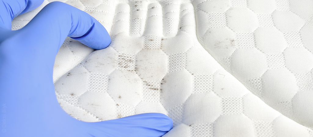 Foto: Nahaufnahme eines Matratzenbezugs mit Schimmelflecken. Eine Hand mit Latexhandschuh zieht den Bezug straff.